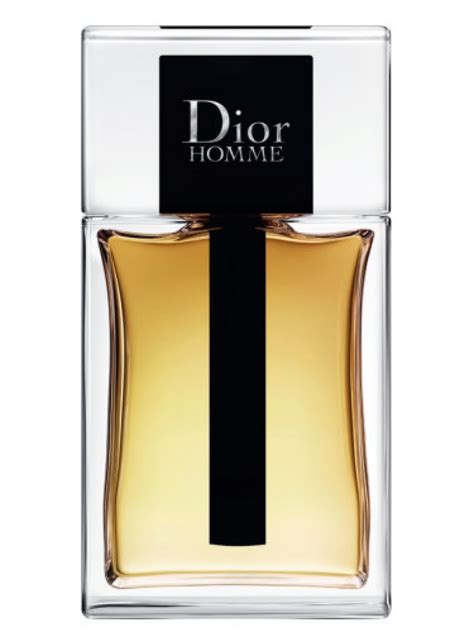 dior homme toilet|dior homme edt 2020.